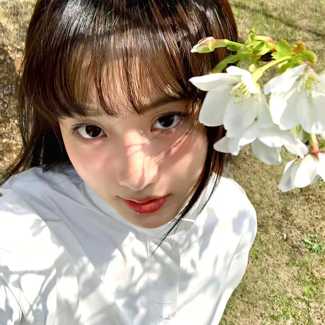地球队长